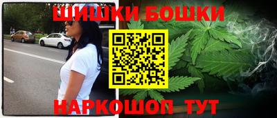 индика Моздок