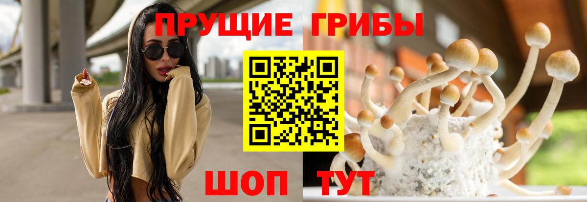 Галлюциногенные грибы MAGIC MUSHROOMS  Вход с VPN  где найти   Бугульма  Галлюциногенные грибы прущие грибы 